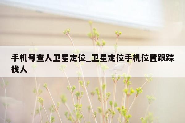 手机号查人卫星定位_卫星定位手机位置跟踪找人