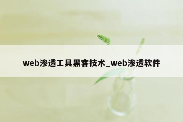 web渗透工具黑客技术_web渗透软件