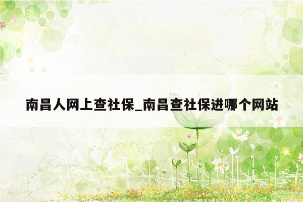 南昌人网上查社保_南昌查社保进哪个网站