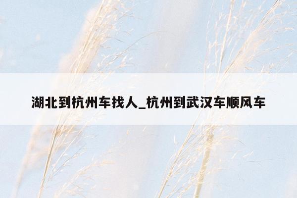 湖北到杭州车找人_杭州到武汉车顺风车