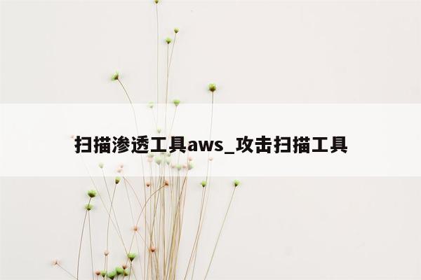 扫描渗透工具aws_攻击扫描工具