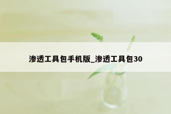 渗透工具包手机版_渗透工具包30