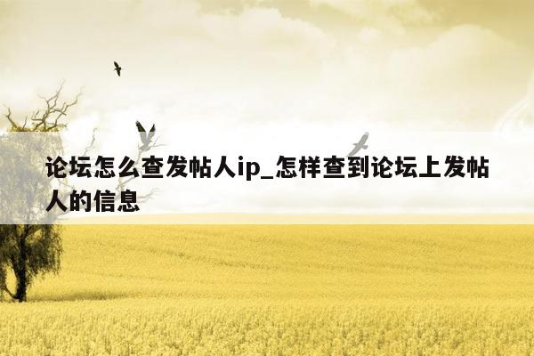 论坛怎么查发帖人ip_怎样查到论坛上发帖人的信息