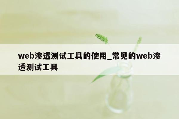 web渗透测试工具的使用_常见的web渗透测试工具