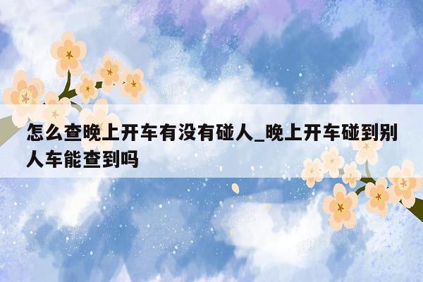 怎么查晚上开车有没有碰人_晚上开车碰到别人车能查到吗