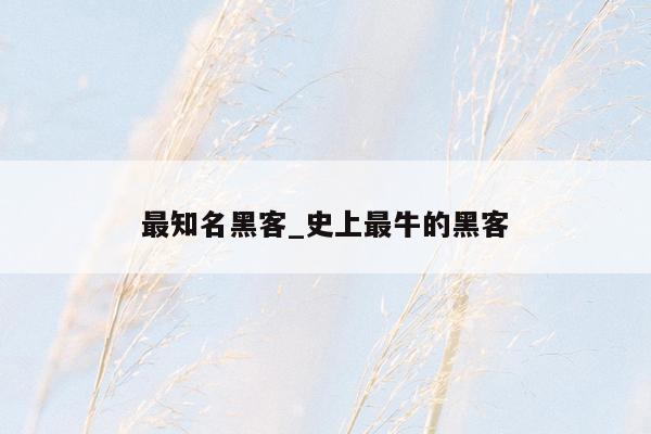 最知名黑客_史上最牛的黑客