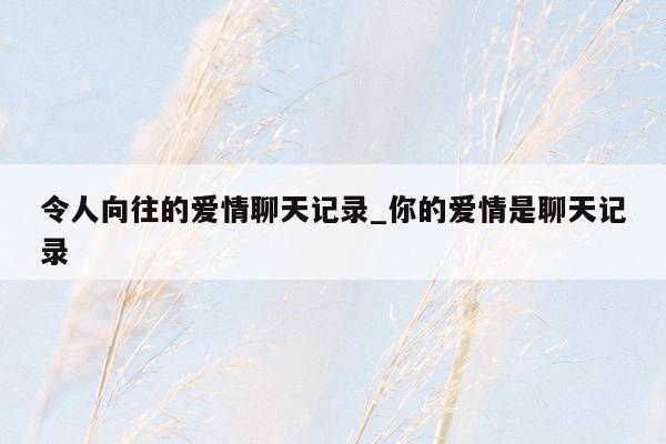 令人向往的爱情聊天记录_你的爱情是聊天记录