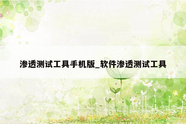 渗透测试工具手机版_软件渗透测试工具
