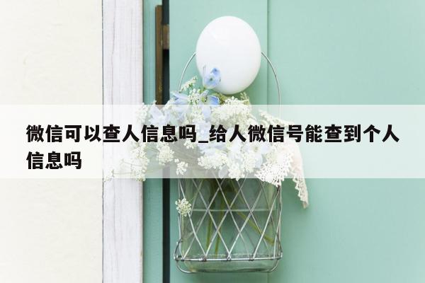 微信可以查人信息吗_给人微信号能查到个人信息吗