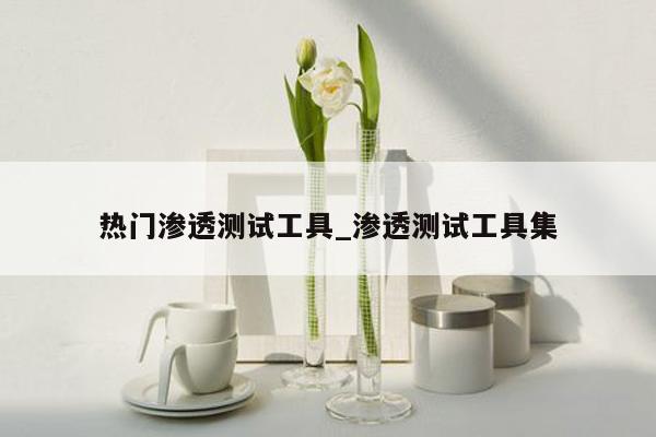 热门渗透测试工具_渗透测试工具集