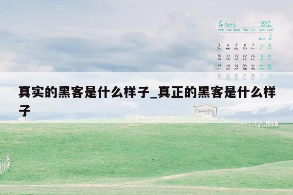 真实的黑客是什么样子_真正的黑客是什么样子