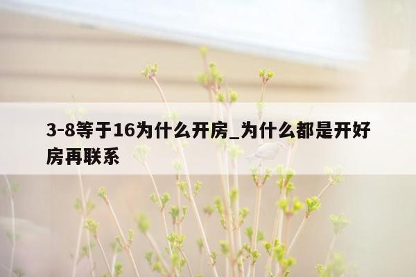 3-8等于16为什么开房_为什么都是开好房再联系