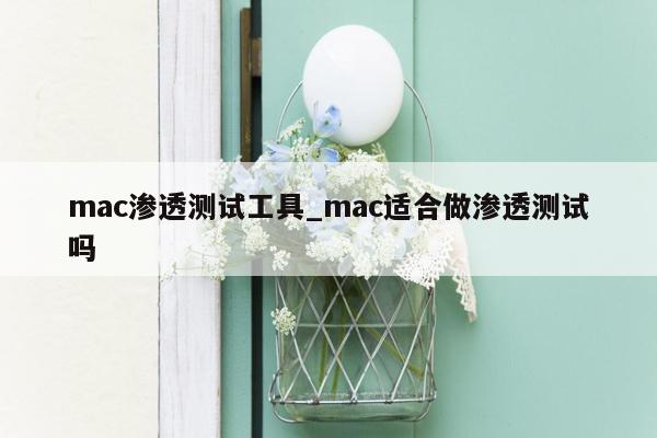 mac渗透测试工具_mac适合做渗透测试吗