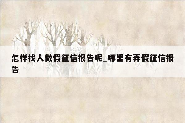 怎样找人做假征信报告呢_哪里有弄假征信报告