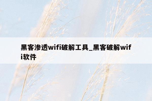 黑客渗透wifi破解工具_黑客破解wifi软件
