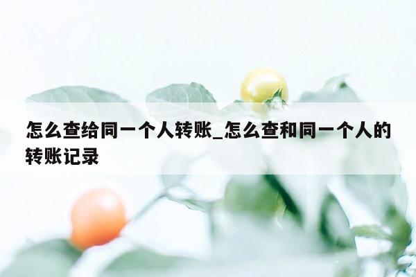 怎么查给同一个人转账_怎么查和同一个人的转账记录