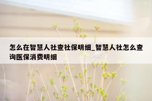 怎么在智慧人社查社保明细_智慧人社怎么查询医保消费明细