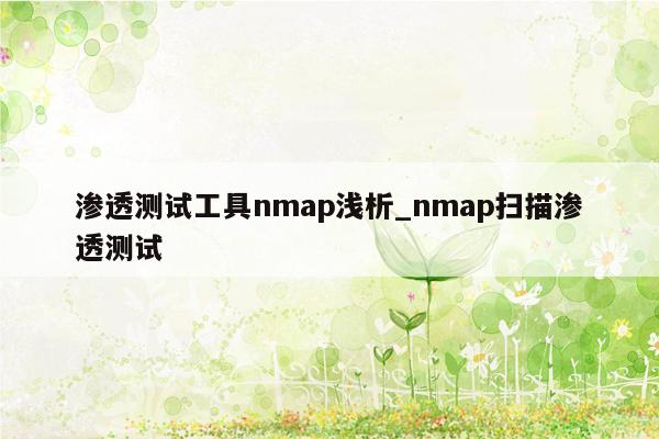 渗透测试工具nmap浅析_nmap扫描渗透测试