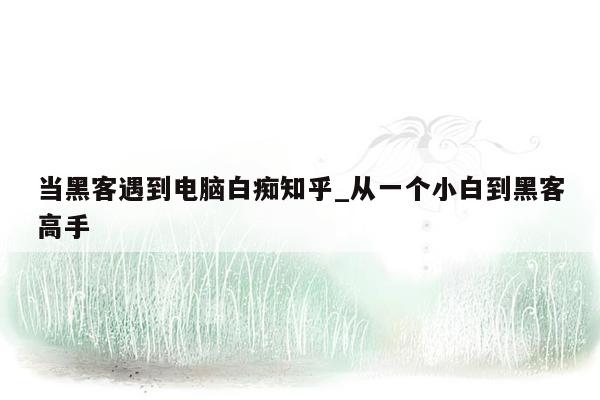 当黑客遇到电脑白痴知乎_从一个小白到黑客高手