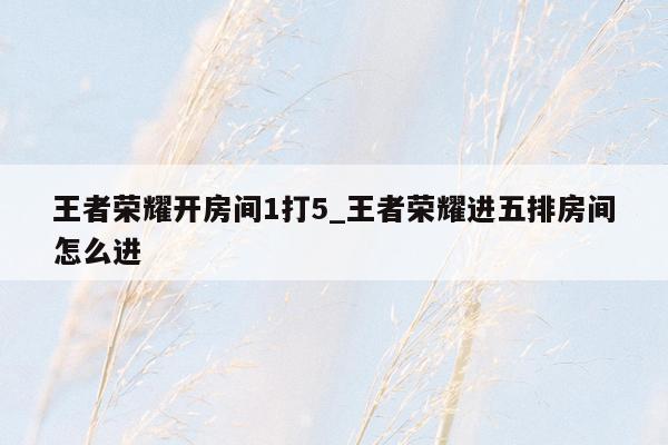 王者荣耀开房间1打5_王者荣耀进五排房间怎么进