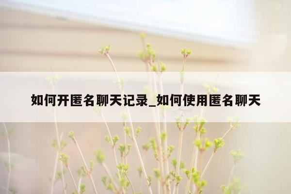 如何开匿名聊天记录_如何使用匿名聊天