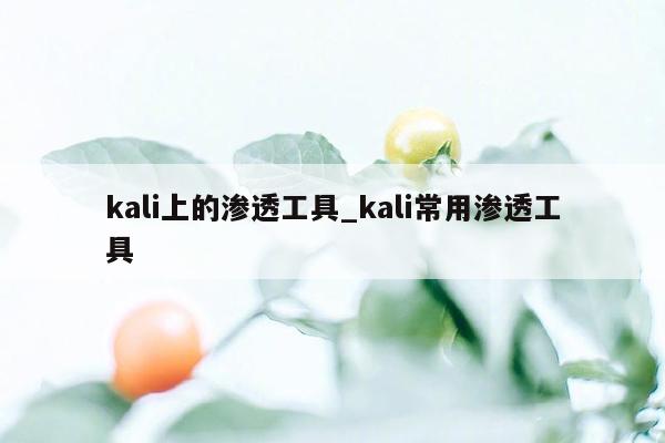 kali上的渗透工具_kali常用渗透工具