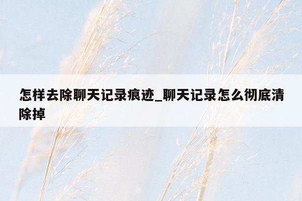 怎样去除聊天记录痕迹_聊天记录怎么彻底清除掉
