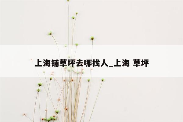 上海铺草坪去哪找人_上海 草坪