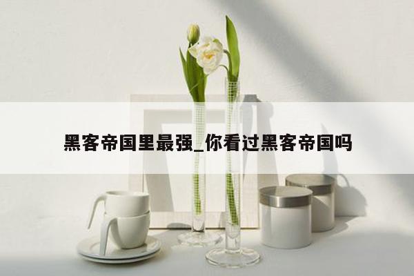 黑客帝国里最强_你看过黑客帝国吗