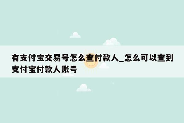 有支付宝交易号怎么查付款人_怎么可以查到支付宝付款人账号