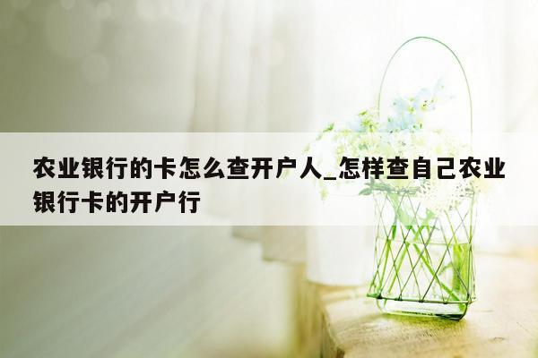 农业银行的卡怎么查开户人_怎样查自己农业银行卡的开户行