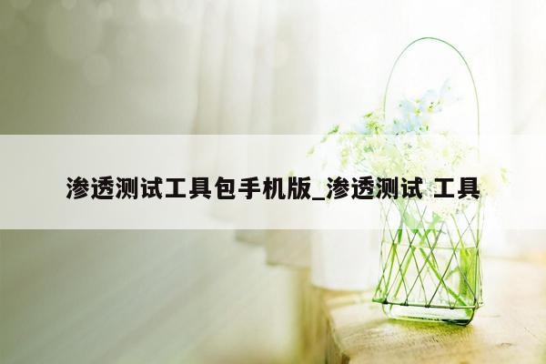 渗透测试工具包手机版_渗透测试 工具