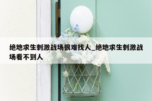 绝地求生刺激战场很难找人_绝地求生刺激战场看不到人