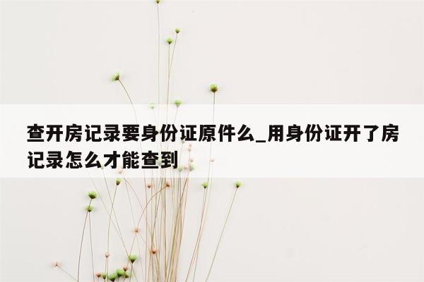 查开房记录要身份证原件么_用身份证开了房记录怎么才能查到