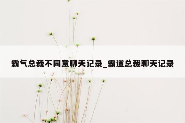 霸气总裁不同意聊天记录_霸道总裁聊天记录