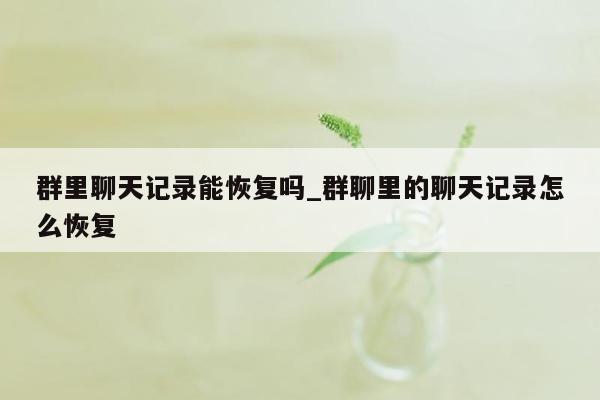 群里聊天记录能恢复吗_群聊里的聊天记录怎么恢复