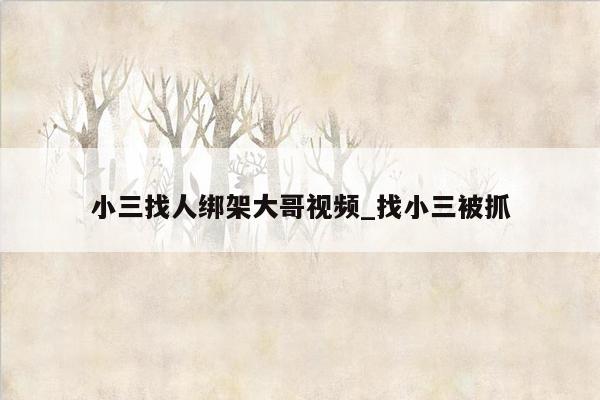 小三找人绑架大哥视频_找小三被抓