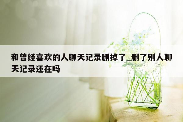 和曾经喜欢的人聊天记录删掉了_删了别人聊天记录还在吗