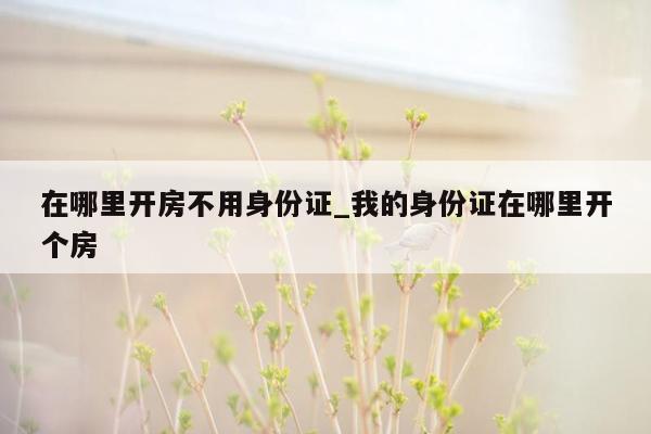 在哪里开房不用身份证_我的身份证在哪里开个房