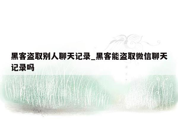 黑客盗取别人聊天记录_黑客能盗取微信聊天记录吗