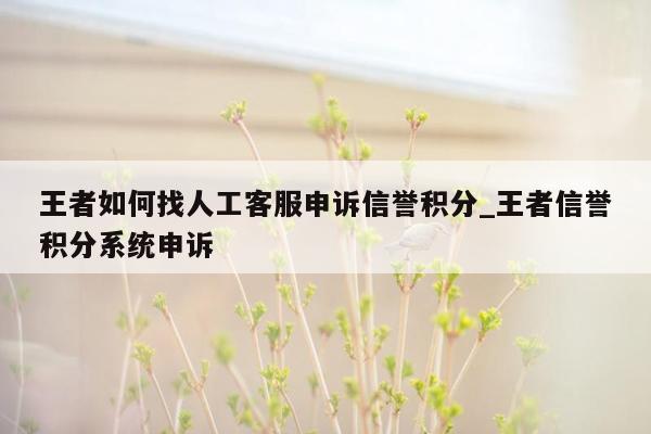 王者如何找人工客服申诉信誉积分_王者信誉积分系统申诉