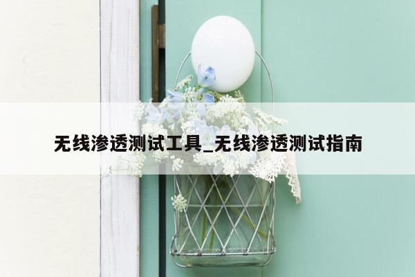 无线渗透测试工具_无线渗透测试指南