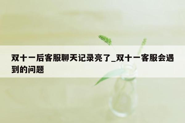 双十一后客服聊天记录亮了_双十一客服会遇到的问题