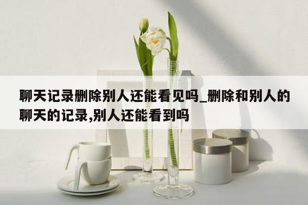 聊天记录删除别人还能看见吗_删除和别人的聊天的记录,别人还能看到吗