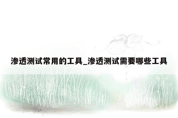 渗透测试常用的工具_渗透测试需要哪些工具
