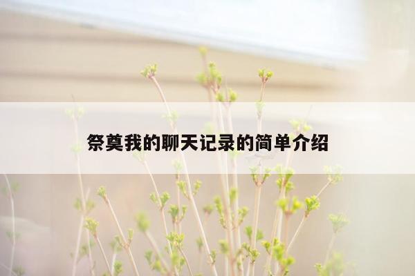 祭奠我的聊天记录的简单介绍