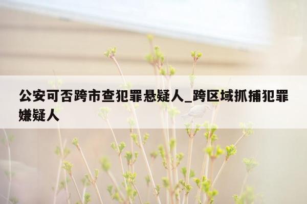 公安可否跨市查犯罪悬疑人_跨区域抓捕犯罪嫌疑人
