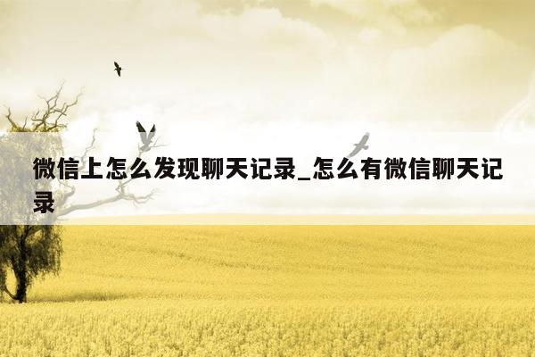 微信上怎么发现聊天记录_怎么有微信聊天记录