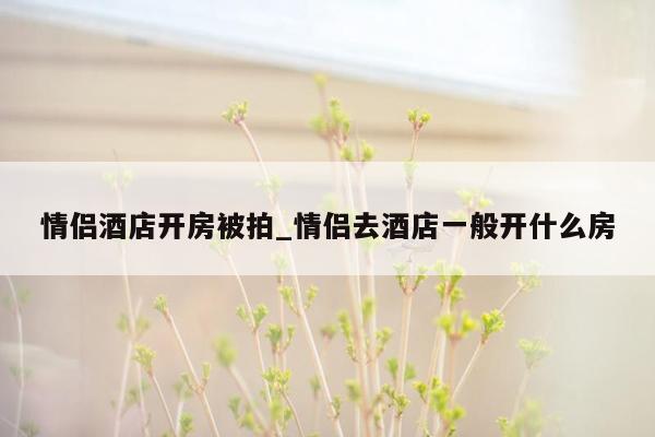 情侣酒店开房被拍_情侣去酒店一般开什么房