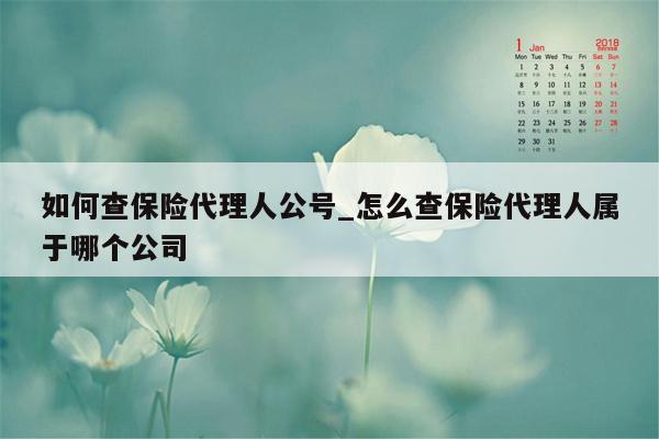 如何查保险代理人公号_怎么查保险代理人属于哪个公司
